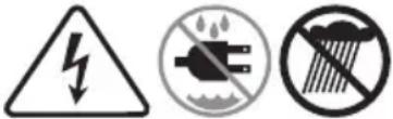 TROY-BILT Storm 2665 XP - SAFETY SYMBOLS - 4