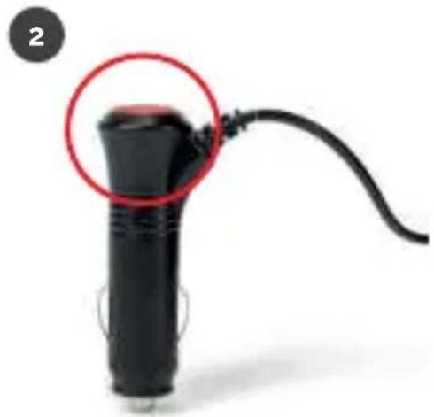 Osann Junior Klimax Gurtfix - osann - 2