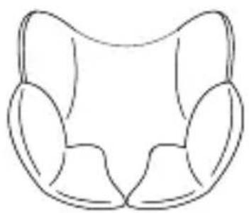 Osann Huddle - Comfort-inlegstuk & baby-inlegstuk - 1