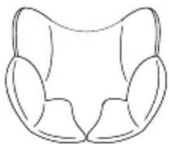 Osann Huddle - Comfort insert & baby insert - 1