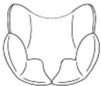 Osann Huddle - Komforteinlage & Babyeinlage - 1