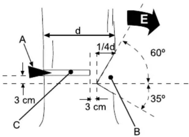 GARLAND Montana 516V20 - TIRARE UN ALBERO - 2