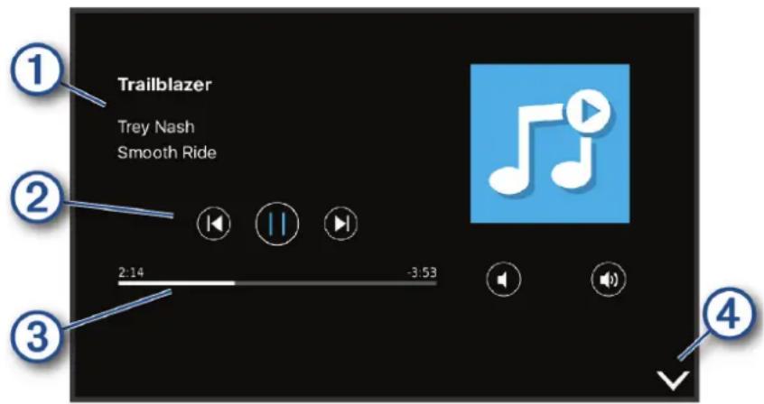 GARMIN DEZL LGV810 - Lecteur audio - 1