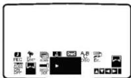 LG V790NSK - Compatibilité du grand écran 16:9 - 2