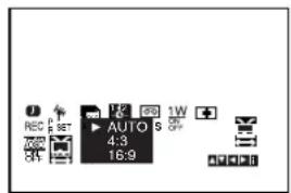 LG V390HP - Compatibilité du grand écran 16:9 - 2