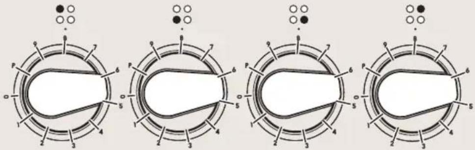 BORETTI CFBI601IX - Maximum power management - 1