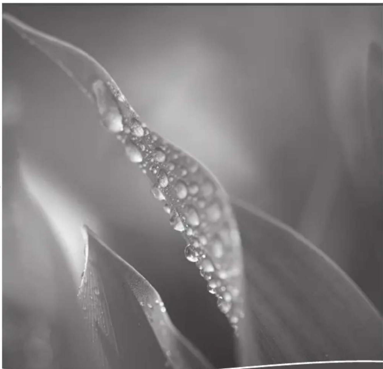 Heissner F635N00 - Élimination - 3