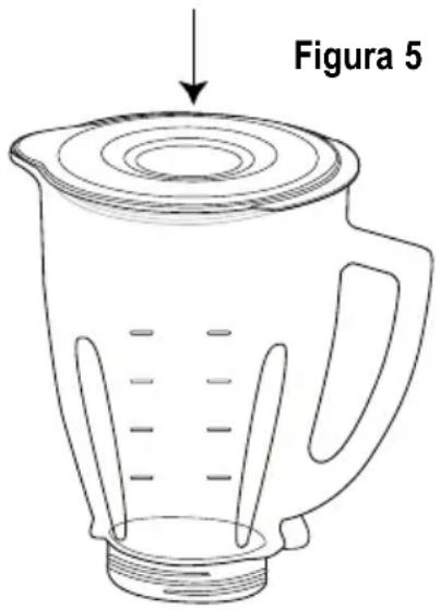 Figura 5