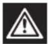 Grizzly BRM 421020 - Pictogram op de benzinetank: - 1