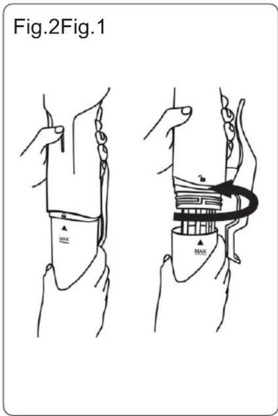 Fig.2Fig.1 MAX a MAX