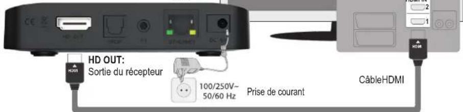 EDISION Ping - Connexion et mise en marche - 2