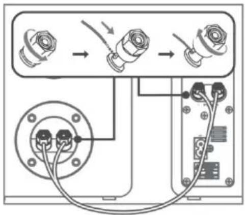 Crosley S100A - Conexión de altavoces - 1
