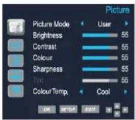 Picture Mode User Brightness 55 Contrast 55 Colour 55 Sharpness 55 Tint 55 ColourTemp. Cool OK SETUP EXIT