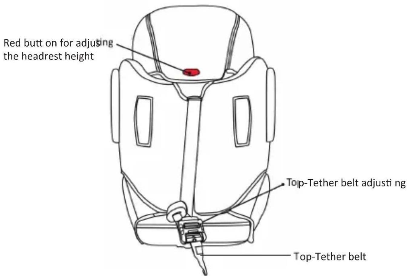 Red butt on for adjusting the headrest height Top-Tether belt adjusting Top-Tether belt