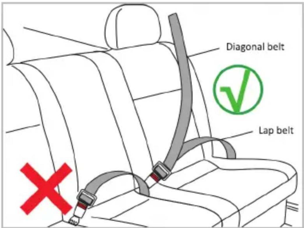 Diagonal belt Lap belt