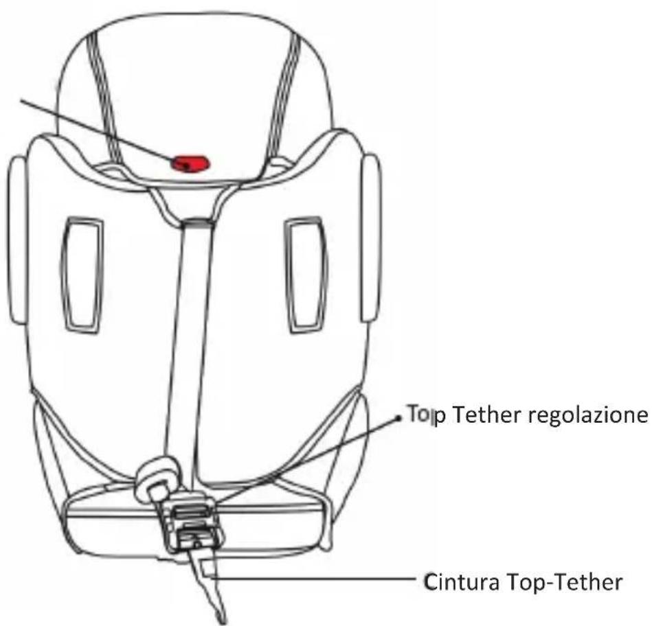 Top Tether regolazione Cintura Top-Tether