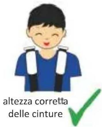 Osann Flux Plus - Altezza corretta delle cinture per le spalle - 3
