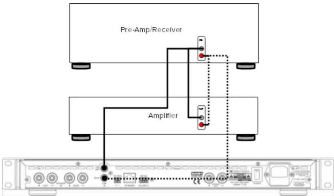ELAC IWS10EQ - Branchement de l'amplificateur de l'enceinte d'extrêmes basses - 2