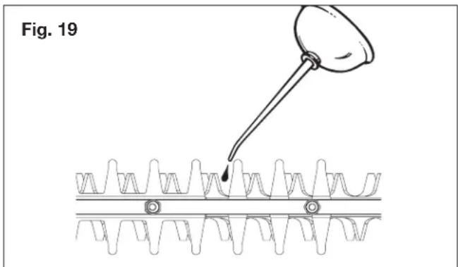Fig. 19