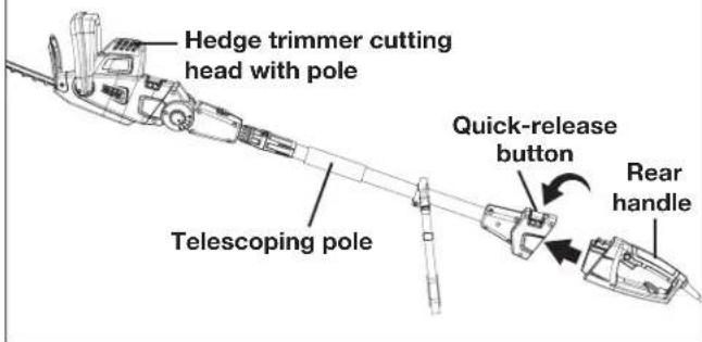 Hedge trimmer cutting head with pole Telescoping pole Quick-release button Rear handle