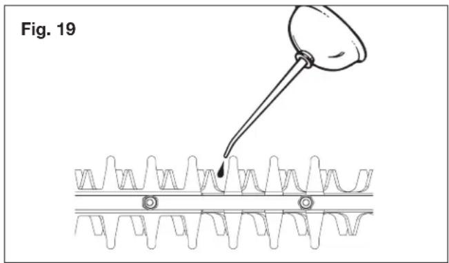Fig. 19
