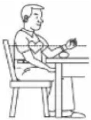 ProfiCare PCBMG 3018 - Body Posture during Measurement Sitting Comfortably Measurement - 1