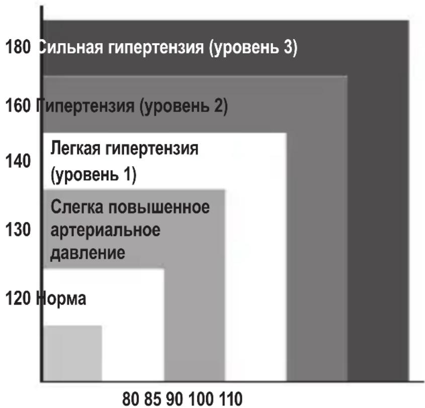 ProfiCare PCBMG 3018 - Оценка высокого давления у взрослых - 1