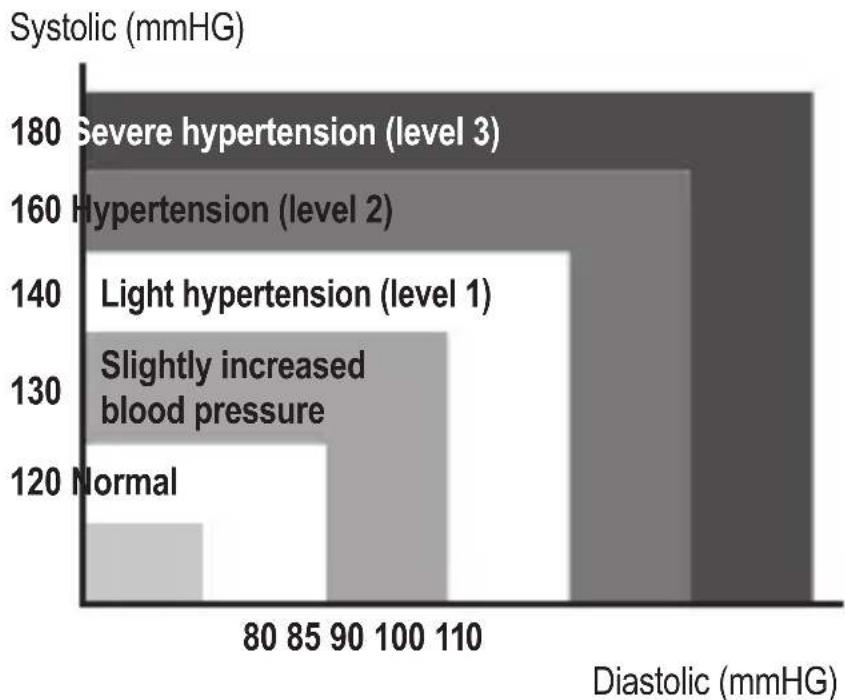 ProfiCare PCBMG 3018 - Assessing High Blood Pressure for Adults - 1
