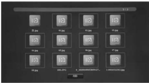 BRAUN DigiFrame 1901 - Mode image/fonction de suppression - 1