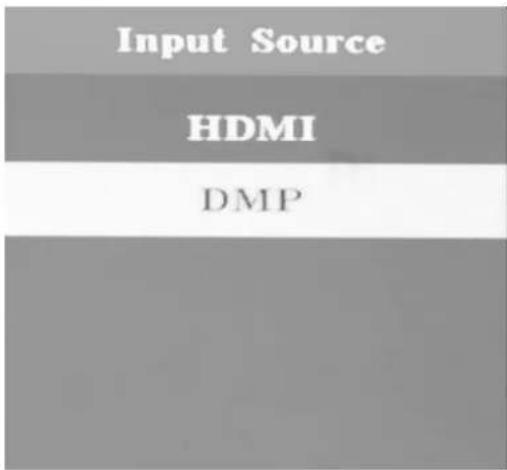BRAUN DigiFrame 1901 - Fonction HDMI-IN - 1