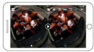 BRAUN Champion 360 - Visualizzazione panoramicica - 4