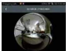 BRAUN Champion 360 - Compartir: - 1