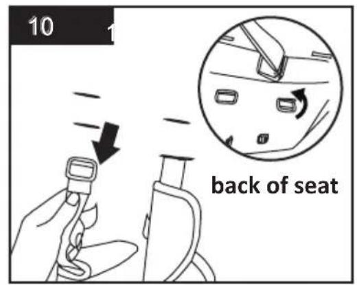 Osann Rose - 11