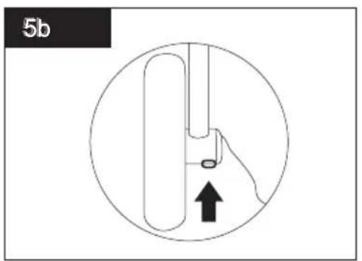 Osann Rose - 6