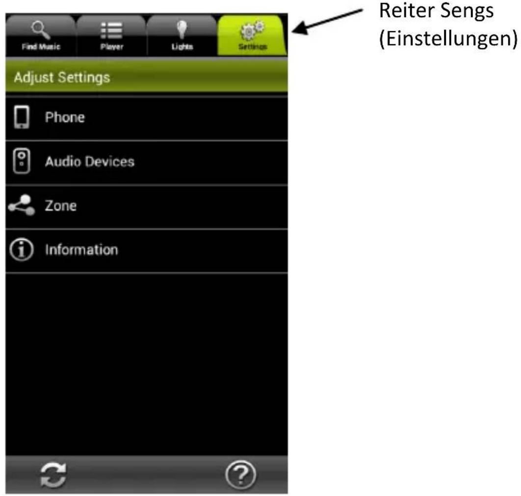 Find Music Player Lights Settings Adjust Settings Phone Audio Devices Zone Information Reiter Sengs (Einstellungen)