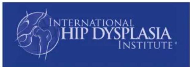 CHICCO Boppy ComfyFit - 「APAHITN - 1