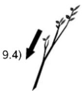 STIHL GH 460 - i - 1