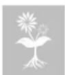 STIHL GHE 355 - Description of symbols - 16