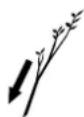 STIHL GHE 355 - Description of symbols - 12