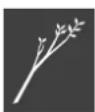STIHL GHE 355 - Description of symbols - 15