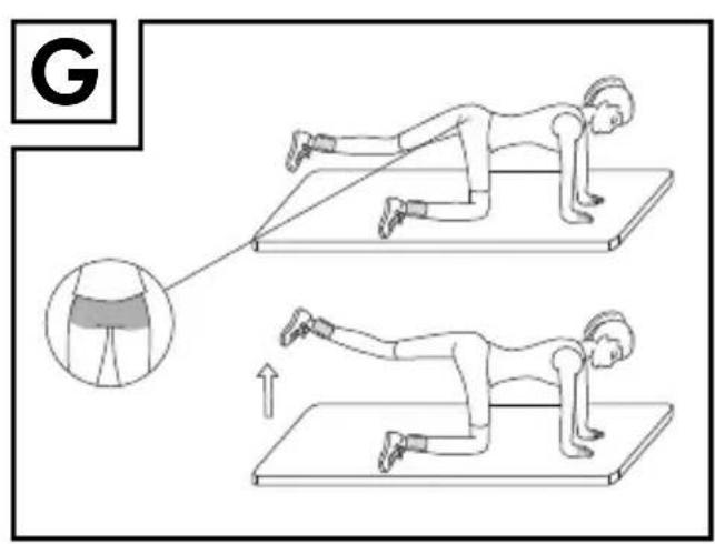 FITNESS WEIGHTS SET 7