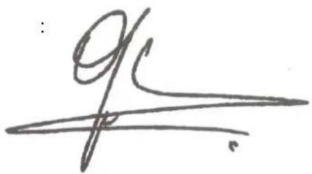 91