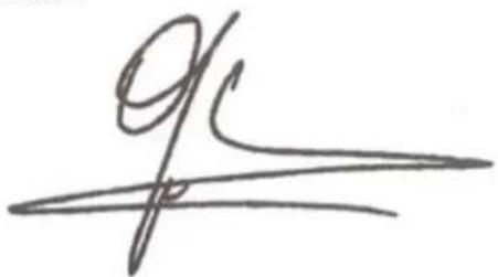 91