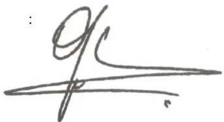 Handwritten signature or scribble on white background, possibly a signature or artistic mark