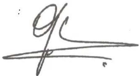 91