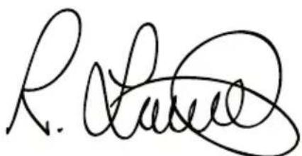 BLACK & DECKER BDCDD186K - EU-samsvarserklæring - 2