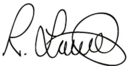 BLACK & DECKER BDCDD186K - PORTUGUES - 1