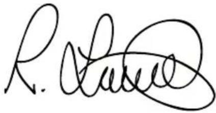 BLACK & DECKER BDCDD186K - EF-overensstemmelseserklaering - 2