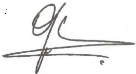 Handwritten signature or scribble on white background, possibly a signature or artistic mark