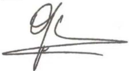 91